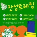 함께 뛰노는 스포츠 | 제주마방목지 촐밭인사이드 웰니스데이 후기｜ 말이 뛰노는 5월 풍경 따라 걷는 잣성트레킹🌿🐎