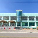 할리베어 이미지