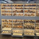 국립공주박물관 | 공주 가볼만한 곳 국립공주박물관 방문 후기