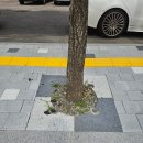 태재로 이미지