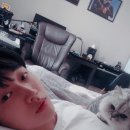 진영