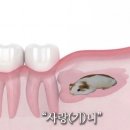 애련정로 1 네이버블로그