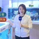 아쿠아펫랜드 이미지