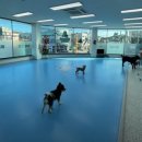 초원유치원 이미지