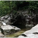 덕산운수 Daum카페