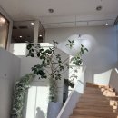 디자인스튜디오헤이데이 | W.08 제시카로렌_지정 | 이미지투어 후기(드레스 투어 대신하기)