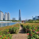 루엔커피로스터스 이미지