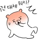 숲속화인어린이집 이미지