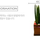 남양꽃집힐링플라워 이미지