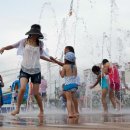 토속어류생태복원체험관 이미지