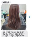 미녀미용실 | 히피펌 미용실 ‘미녀들의 수다’ 내돈내산 후기