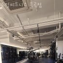 두잇피트니스(율곡점) 이미지