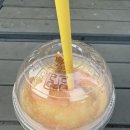 부산 도심 반려견 산책코스 추천｜BIFC몰에서 꼬미, 모모와 여유로운 저녁