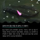 우리실내낚시터 이미지