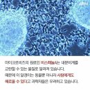 유엔비즈 이미지