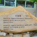 일운초등학교병설유치원 이미지