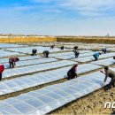 채령농장 이미지