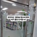 충청남도아산교육지원청 | 천안아산 엄마표/잠수네 영어 하기 좋은 도서관 #2 충청남도아산교육지원청도서관