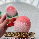 GS25 오산리치점 | GS25편의점 신상 아이스크림 프로즌리치소르베 맛 칼로리 후기
