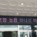 신포항농협하나로마트청하점 이미지