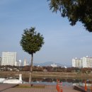 동촌유원지 녹수대 이미지