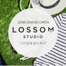 피다스튜디오 이미지