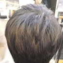 영미헤어 - 서구 | 영미헤어