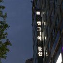 그레이톤 | 대전 둔산동 그레이톤 호텔 후기