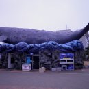 장생포고래박물관 이미지