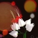 태인경매공인중개사사무소 이미지