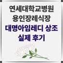 기흥장례식장 | [연세대병원 용인장례식장 후기] 허전하고 외로운 순간 힘이 되어준 대명아임레디 장례지도사