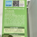 시선끌림