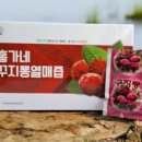 홍가네농장 이미지