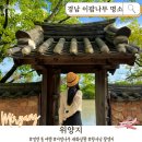 밀양아리나관광안내소 | 경남 이팝나무 명소 밀양 위양지 | 영화촬영지 포토존 및 이팝나무 개화상황