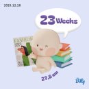 석화어린이집 | [임신 23주차] 임신기간 앱 추천 | 파주운정 스타필드 빌리지 | 노량진 수산시장 | 마곡 맛집...