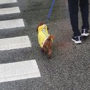 중로1-257 | 7월 셋. 만남과 이별과 도전