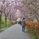 문*수 - 안양시 만안구 | 문*수