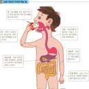 소화 이미지