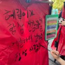 엄마가 된 나, 그동안의 임신기록