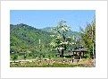 순천-38호 이미지