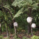 계원농장 이미지