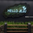 연차받은김에 떠난 제주도 주말 2박3일 여행🧡💚 서귀포 호텔 추천 후기