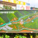 함허동천 시범야영장 이미지