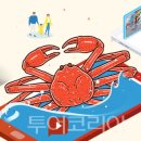 주식회사 잇츠커머스 이미지