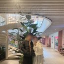 보이저 | 광주 첨단 보이저 맛집 호시마츠 라멘 후기