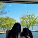 더대청호 이미지