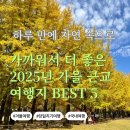 광탄 부흥로 무궁화길 | 가까워서 더 좋은 2025년 가을 근교 여행지 BEST 5 | 하루 만에 자연 속으로