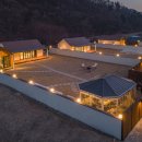 댕댕별 이미지