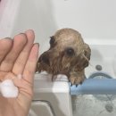 딱이네미용실 이미지