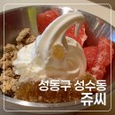 가성비 요거트아이스크림 쥬씨 서울숲점 후기
